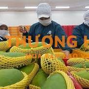 Cần 1 nữ tham gia đơn hàng đóng gói rau củ quả xkld Đài Loan