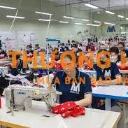 CẦN 50 CÔNG NHÂN MAY TẠI BÌNH TÂN LƯƠNG 9-12 triệu
