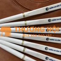 Bút bi làm qùa tặng in logo theo yêu cầu