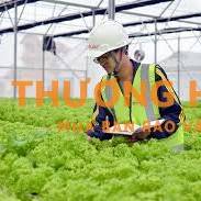 Cần 10 nữ kỹ sư tham gia phỏng vấn đơn hàng kỹ sư nông nghiệp Nhật Bản