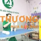 [THÁI NGUYÊN] PETHEALTH TUYỂN NHÂN VIÊN GROOMING