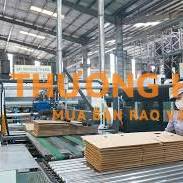 NAM- Nhân viên KCS/ QC khâu in ấn