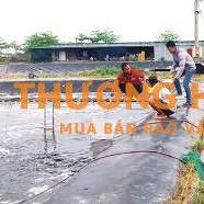 Cần tuyển công nhân nuôi cá tra ao đất