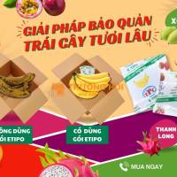 🍌 GÓI HÚT KHÍ ETHYLENE TIPO CHO TRÁI CÂY – NÔNG SẢN 📦