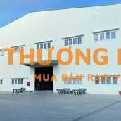 Bao bì giấy cần 50 lao động thời vụ