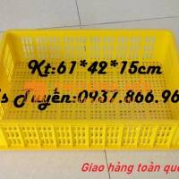 Sóng 1T5, sọt cao 15cm, sọt dùng kho lạnh, sọt đựng rau củ việt