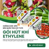 Gói Hút Ethylene – Giải Pháp Kéo Dài Thời Gian Bảo Quản Trái Cây