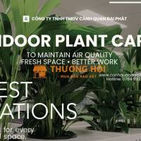 Dịch vụ chăm sóc cây xanh nội thất – tưới nước, bón phân, cắt tỉa Thủ Đức
