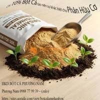 🌱 Bột Cá – Giải Pháp Nâng Tầm Phân Bón Hữu Cơ