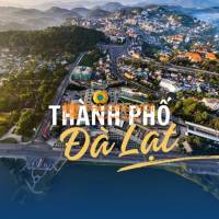 TOUR ĐÀ LẠT – VƯƠNG QUỐC NGÀN HOA 3N3Đ – TRẢI NGHIỆM XỨ SỞ THÔNG REO 🌸🌲