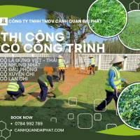 TRỒNG CỎ NHUNG NHẬT – KCN LONG THÀNH, ĐỒNG NAI