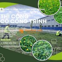 TRỒNG CỎ CÔNG TRÌNH KCN BÌNH DƯƠNG – THI CÔNG NHANH, GIÁ TỐT
