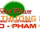 Tuyển Lái xe văn phòng, lái cho sếp