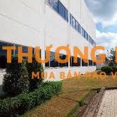 (KCN Long Đức) Tuyển dụng lao động phổ thông nhà máy