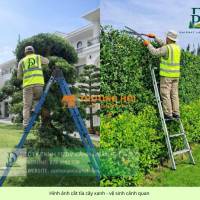 DỊCH VỤ CẮT CỎ – CƯA CÂY TẠI KCN LONG THÀNH, ĐỒNG NAI