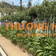 TUYỂN 2 NGƯỜI CHĂM SÓC NHÀ VÀ VƯỜN QUANH NHÀ TẠI ĐÀ LẠT