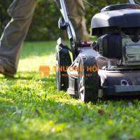 CHĂM SÓC – CẮT TỈA CÂY XANH ĐỊNH KỲ TẠI KCN LONG THÀNH ĐỒNG NAI