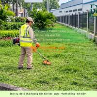 DỊCH VỤ CẮT CỎ – CƯA CÂY KCN NHƠN TRẠCH, ĐỒNG NAI
