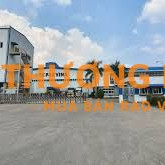 [Bình Dương]Tuyển 200 Nam/Nữ phụ kho chính thức