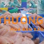 Phi lê cá + Lao đọng phỏ thông