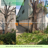 Dịch vụ cắt cỏ cưa cây tại KCN Biên Hòa Đồng Nai