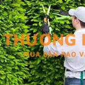 Đơn hàng cắt tỉa cây cảnh xkld Đài Loan