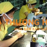 Cần 8 nữ tham gia đơn hàng điện tử làm việc tại Đài Loan