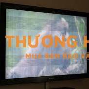 Thanh lý tivi sony 55 inch đã qua sử dụng và hiện bị lỗi màn hình