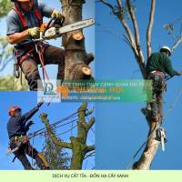 Cưa cây cắt cỏ kcn Phú Mỹ, kcn Mỹ Xuân Bà Rịa Vũng Tàu