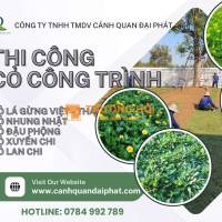 Dịch vụ trồng cỏ lá gừng – cỏ nhung Nhật tại Biên Hòa, Đồng Nai