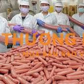 Tuyển 10 Nam đứng máy sản xuất xúc xích, cá viên