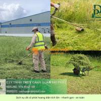 Dịch Vụ Cắt Cỏ, Cưa Cây KCN Long Khánh Đồng Nai Chuyên Nghiệp – Giá Tốt