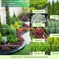 Thiết Kế Thi Công Tiểu Cảnh Sân Vườn Thảo Điền TP.HCM – Đẹp Hiện Đại, Đẳng Cấp