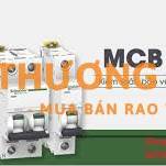 Aptomat MCB Schneider A9K24263