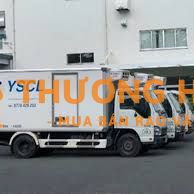 TUYỂN TÀI XẾ XE TẢI B2 (XE 2T) GIAO HÀNG ĐÔNG LẠNH KV TP.HCM