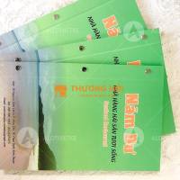 In catalogue giá rẻ đẹp