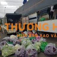 TUYỂN TÀI XẾ LÁI XE TẢI GIAO TRÁI CÂY BAN ĐÊM