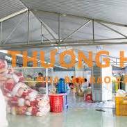 10 NAM NỮ CÔNG NHÂN LĐPT+ĐƯỜNG ĐỖ VĂN DẬY-HÓC MÔN