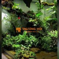 THI CÔNG SÂN VƯỜN NHIỆT ĐỚI TIỂU CẢNH BÁN CẠN, VIVARIUM, PALUDARIUM XU HƯỚNG 2026