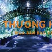 CẦN THÊM 2 KỸ THUẬT BẢO TRÌ THỦY CUNG