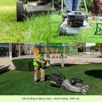 Dịch vụ cắt cỏ KCN Long Thành - Cưa cây định kỳ giá rẻ nhanh chóng