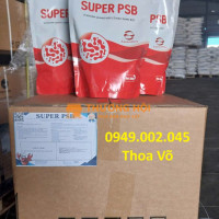 SUPER PSB Rhodo – Vi Khuẩn Quang Hợp Xử Lý Nước, Khử Khí Độc, Làm Sạch Đáy Ao Tôm Cá Hiệu Quả