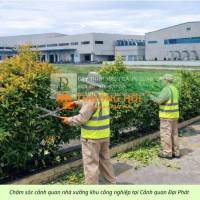 Dịch Vụ Cưa Cây, Cắt Cỏ Nhà Máy Tại KCN Amata Biên Hòa – An Toàn, Chuyên Nghiệp, Giá Tốt
