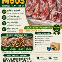 Bán buôn bắp trâu hoa M60S – Giá tốt mỗi ngày