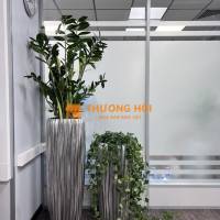 Thi công chậu Composite sân vườn giá rẻ tại TP.HCM trọn gói cây cảnh