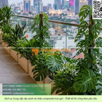 Thiết Kế Thi Công Bảo Dưỡng Cảnh Quan Doanh Nghiệp Tại Đồng Nai