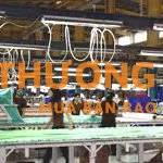 CHUTEX TUYỂN NV SOẠN HÀNG