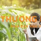 KỸ SƯ NÔNG NGHIỆP VÙNG TRỒNG (KỸ SƯ THỰC ĐỊA)