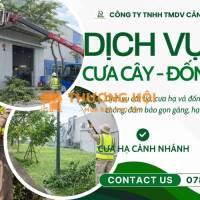 Dịch Vụ Cắt Cỏ, Cưa Cây Long Thành – Long Đức Đồng Nai Nhanh Gọn, An Toàn, Giá Tốt