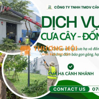 Dịch Vụ Chăm Sóc Cây Xanh Vệ Sinh Cảnh Quan Long Bình Tân Biên Hòa Đồng Nai